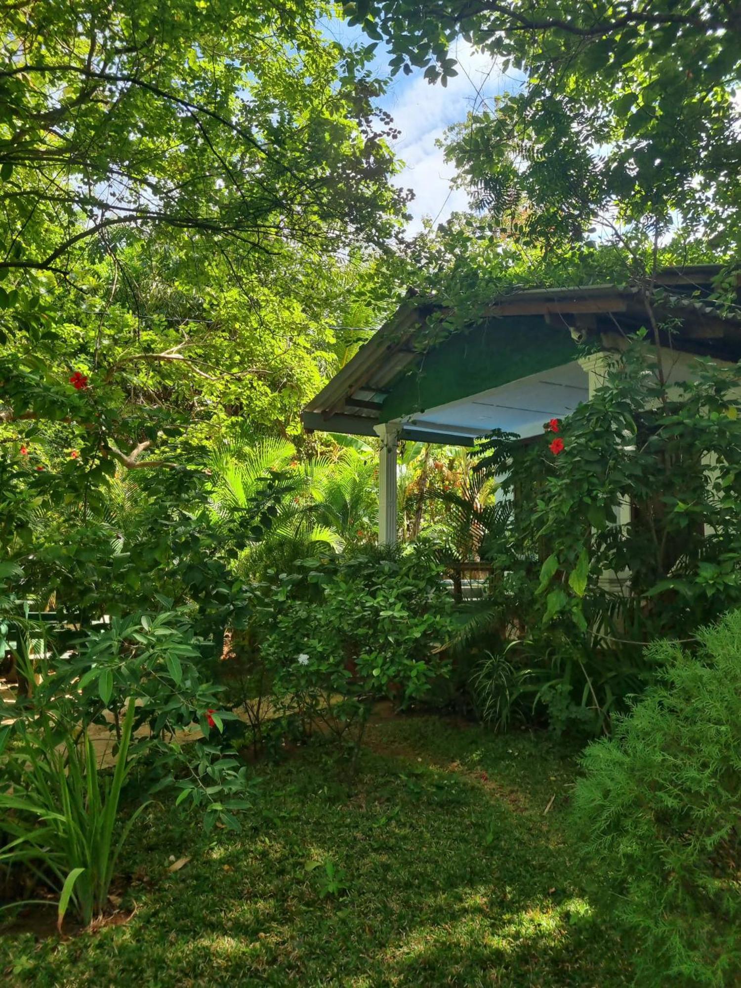 Sunrise Cottage Сігірія Екстер'єр фото